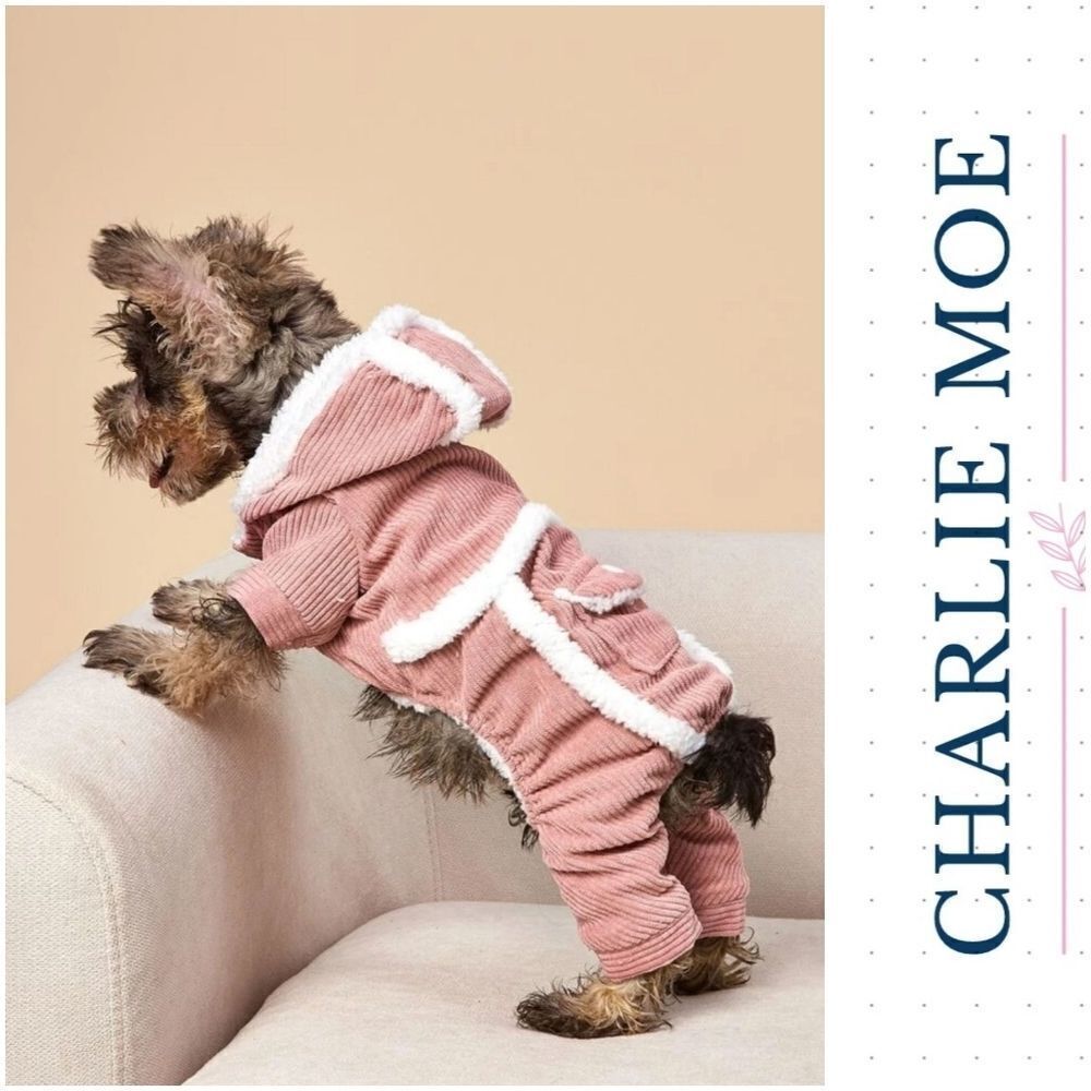 Pet Corduroy suit
